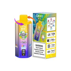 OKSO 120K 6 in 1 120000 Puffs 6 Flavor Vape Wholesale 3
