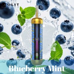 blueberry mint Olit Hookalit Pro 60K Puffs Shisha Hookah Vape Wholesale