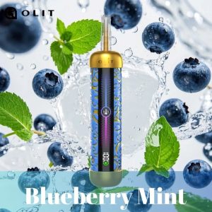 blueberry mint Olit Hookalit Pro 60K Puffs Shisha Hookah Vape Wholesale
