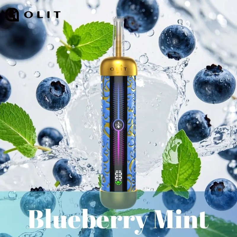 blueberry mint Olit Hookalit Pro 60K Puffs Shisha Hookah Vape Wholesale