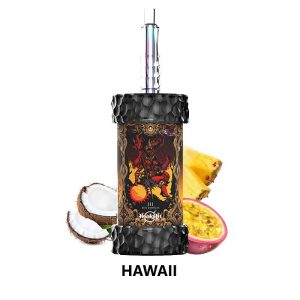hawaii Olit Hookalit Mega 200K Puffs Shisha Hookah Vape Wholesale