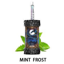 mint frost Olit Hookalit Mega 200K Puffs Shisha Hookah Vape Wholesale