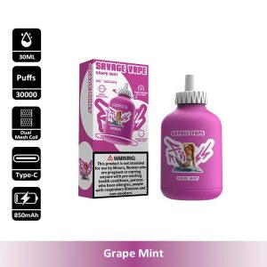 6 Grape Mint Savage Fitness 30000 30K Puffs Disposable Vape Wholesale