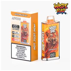 01 Watermelon Ice Waspe Bar 60K 60000 Puffs Disposable Vape Wholesale