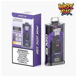 03 Grape Ice Waspe Bar 60K 60000 Puffs Disposable Vape Wholesale