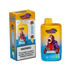 01 Blueberry Raspberry UOR Twins 80K Puffs 2 in 1 Disposabale Vape Wholesale