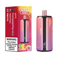 01 Lemon Lime Watermelon Ice Bang King 250K Puffs 4 in 1 Disposable Vape Wholesale