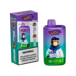 02 Blue Razz Ice UOR Twins 80K Puffs 2 in 1 Disposabale Vape Wholesale