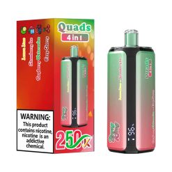 02 Lemon Lime Watermelon Ice Bang King 250K Puffs 4 in 1 Disposable Vape Wholesale
