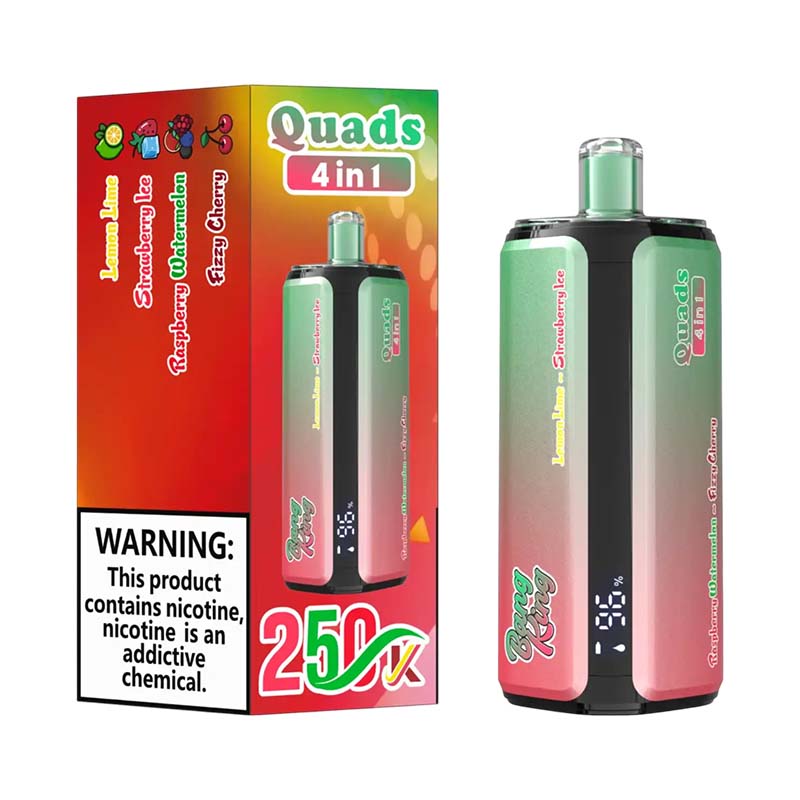 02 Lemon Lime Watermelon Ice Bang King 250K Puffs 4 in 1 Disposable Vape Wholesale