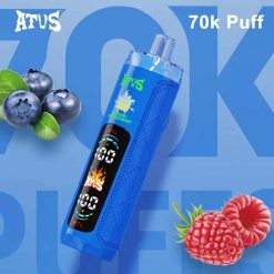 03 Blueberry Sour Raspberry