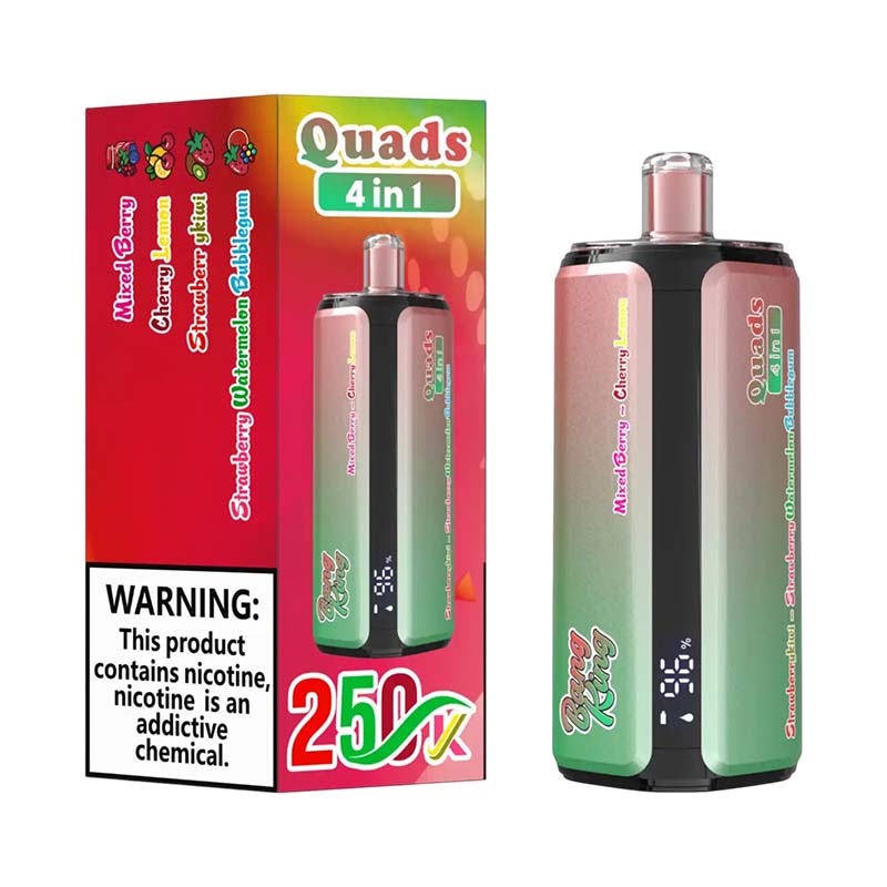 08 Mixed Berry Bang King 250K Puffs 4 in 1 Disposable Vape Wholesale