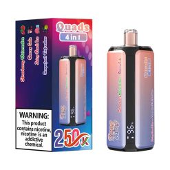 09 Strawberry Watermelon Bang King 250K Puffs 4 in 1 Disposable Vape Wholesale