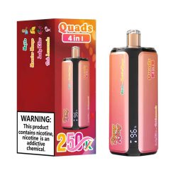 10 Mojito Bang King 250K Puffs 4 in 1 Disposable Vape Wholesale