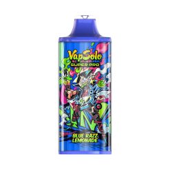 10 Blue Razz Lemonade Vapsolo Super Pro 30000 Puffs Disposable Vape Wholesale