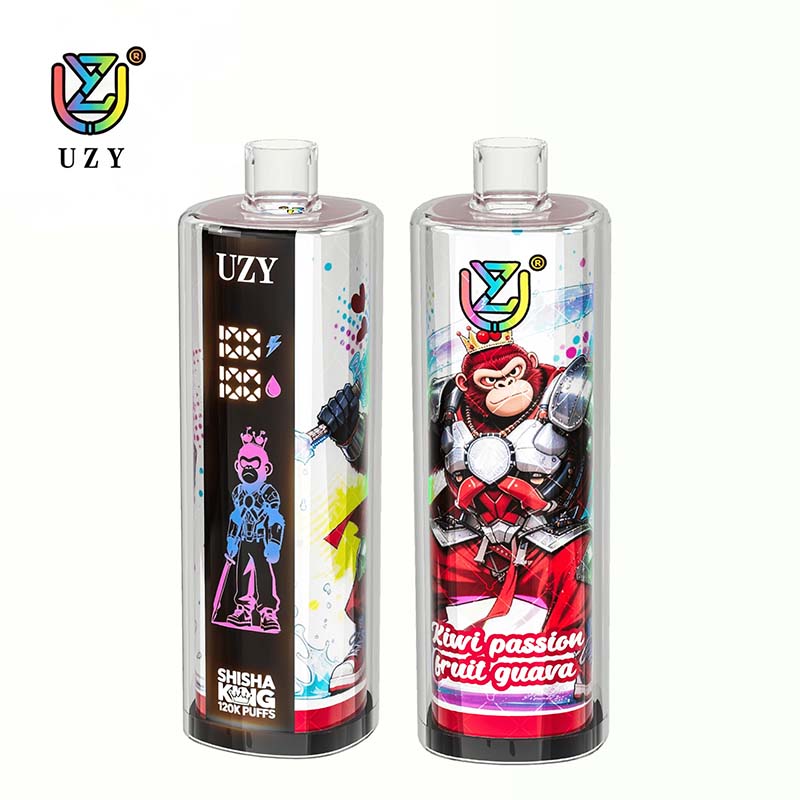12 Kiwi Passion Fruit Guava UZY 120K Puffs Shisha Hoohak King Disposable Vape Wholesale