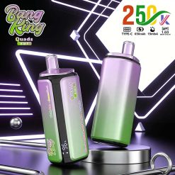 Bang King 250K Puffs 4 in 1 Disposable Vape Wholesale 1