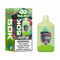 01 Mint Ice QQ Bang 50K Puffs Disposable Vape Wholesale