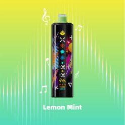07 Lemon Mint Maskking FEXO 45000 Puffs DTL Disposable Vape Wholesale