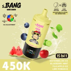 07 Watermelon Ice & Blueberry Mint Bang Leader 450K Puffs 15 in 1 Disposable Vape Wholesale