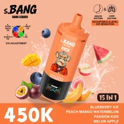09 Blueberry Ice & Peach Mango Watermelon Bang Leader 450K Puffs 15 in 1 Disposable Vape Wholesale