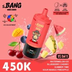 10 Watermelon Ice & Blueberry Cherry Bang Leader 450K Puffs 15 in 1 Disposable Vape Wholesale