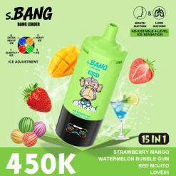 12 Strawberry Mango & Watermelon Bubble Gum Bang Leader 450K Puffs 15 in 1 Disposable Vape Wholesale