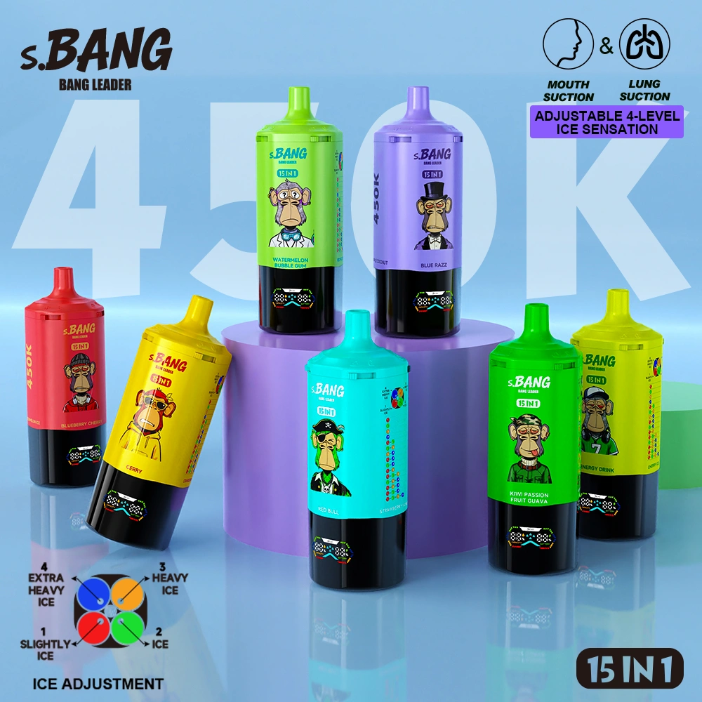Bang Leader 450K Puffs 15 in 1 Disposable Vape Wholesale 1