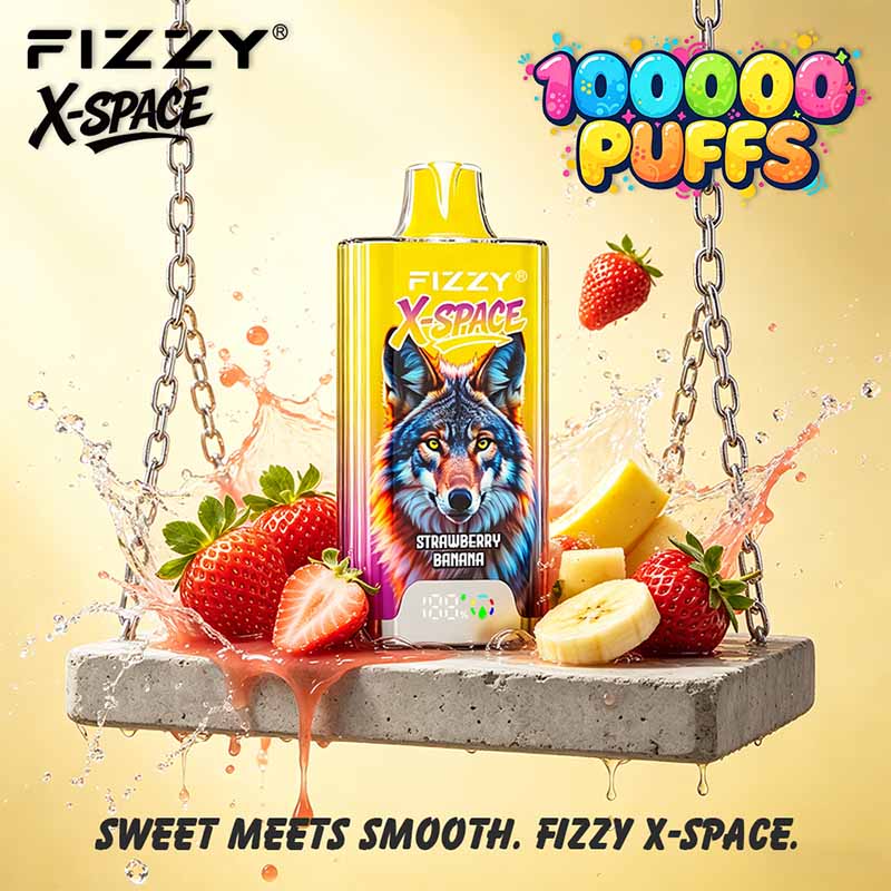 Fizzy X SPACE 100K Puffs Disposable Vape Wholesale 10