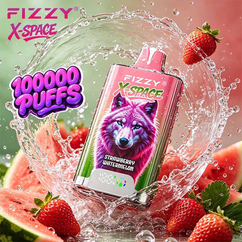 Fizzy X SPACE 100K Puffs Disposable Vape Wholesale 3