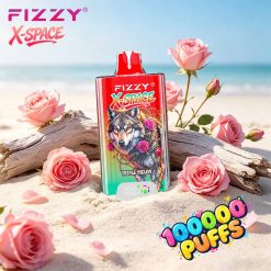 Fizzy X SPACE 100K Puffs Disposable Vape Wholesale 4