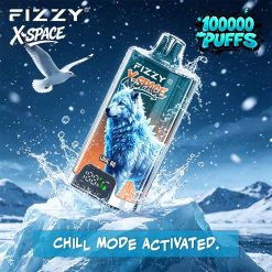 Fizzy X SPACE 100K Puffs Disposable Vape Wholesale 6