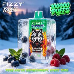 Fizzy X SPACE 100K Puffs Disposable Vape Wholesale 7