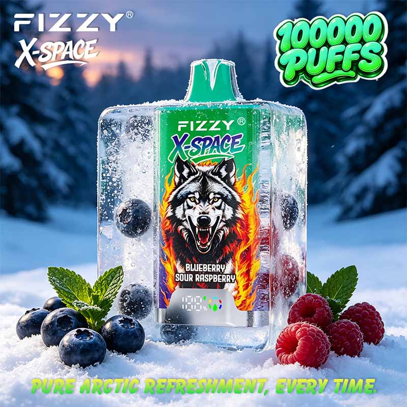 Fizzy X SPACE 100K Puffs Disposable Vape Wholesale 7
