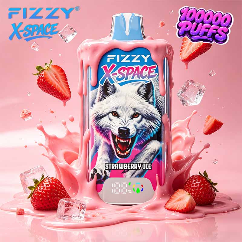 Fizzy X SPACE 100K Puffs Disposable Vape Wholesale 9