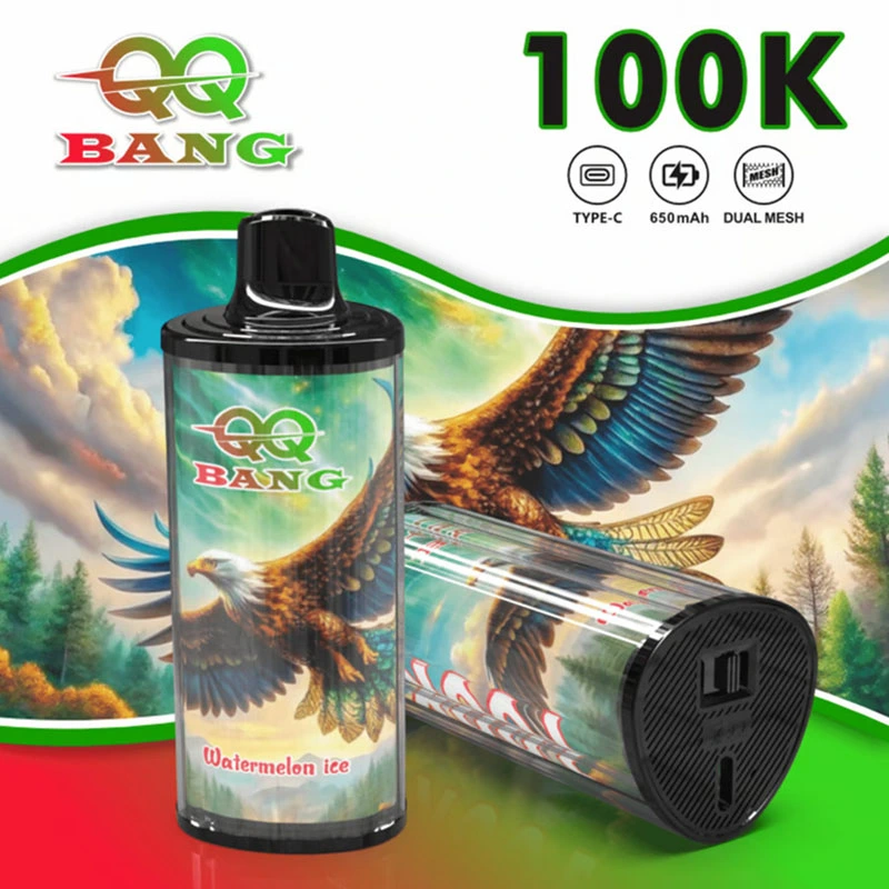 QQ Bang 100K Puffs Disposable Vape Wholesale 1
