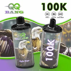 QQ Bang 100K Puffs Disposable Vape Wholesale 2