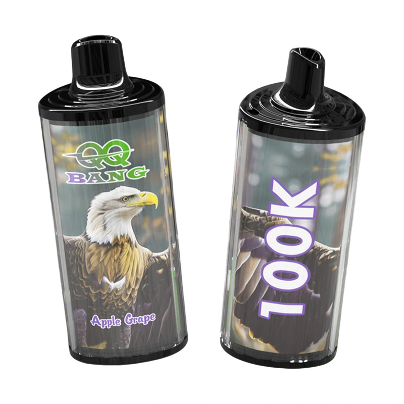 QQ Bang 100K Puffs Disposable Vape Wholesale